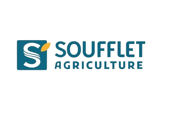 SOUFFLET